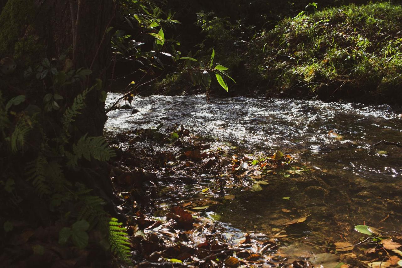 Agroturismo Araize Mungia Luaran gambar